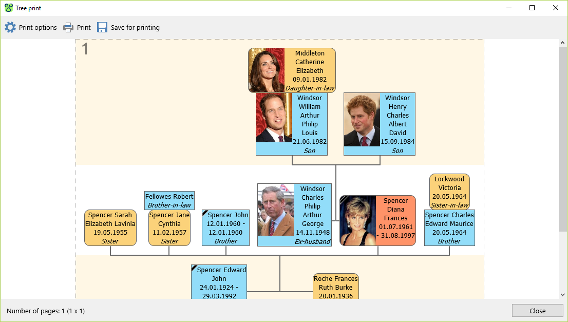 Family tree print dialogue box