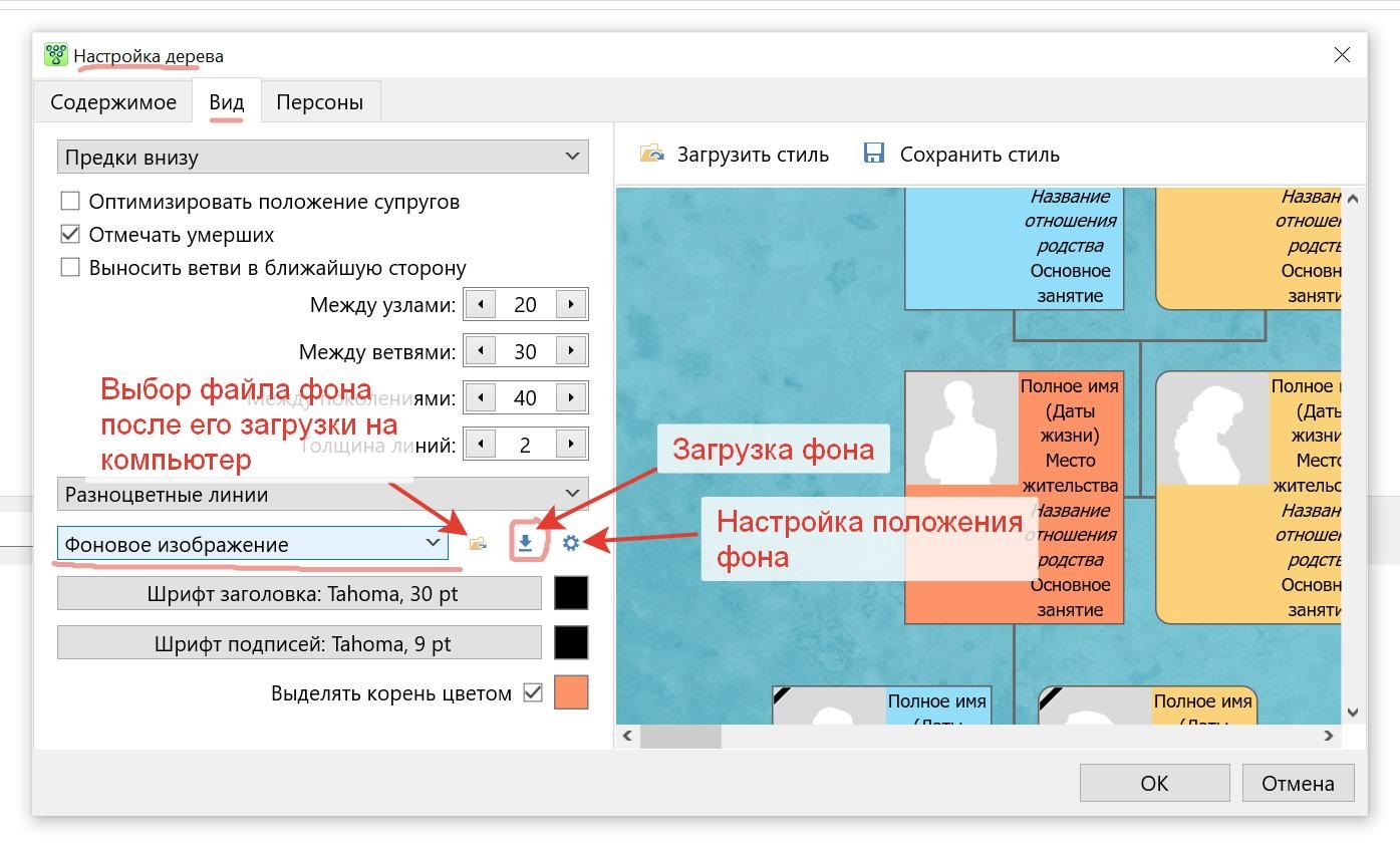 Фон родословного древа