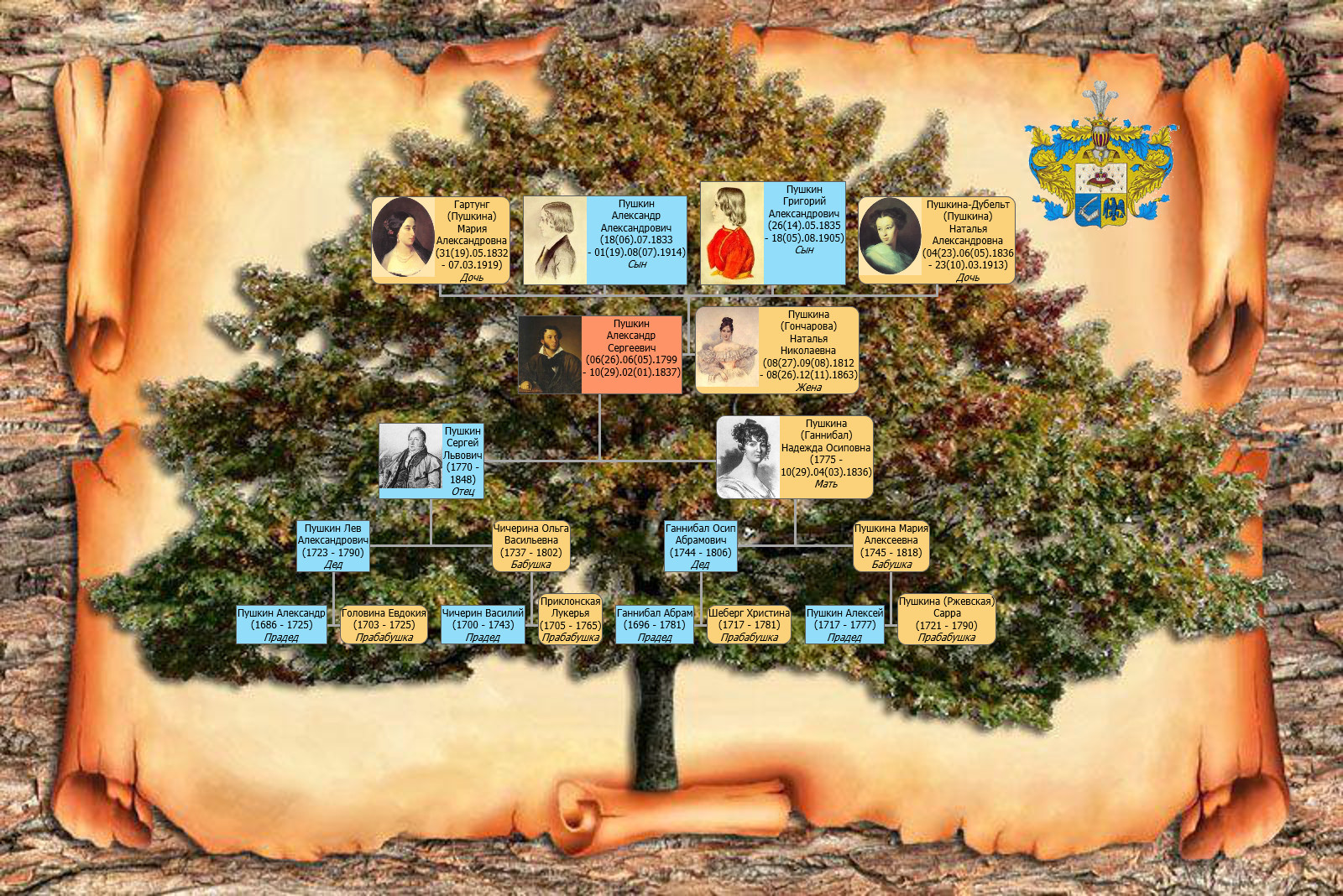 Древо прав. Дерево жизни программа для построения генеалогических деревьев. Родословная или генеалогическое Древо. Генеалогическое Древо Никиты Михалкова.
